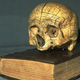 Image for article titled 10 Pseudo-Science Theories We'd Like to See Retired Forever